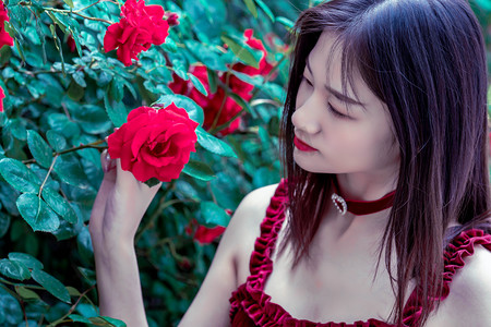 云南普洱亚洲象组团觅食 多部门加强监测